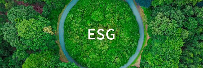 国网ESG（环境、社会、公司治理）报告