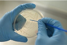 BP XVIB Tests for microbial contamination 微生物含量测试